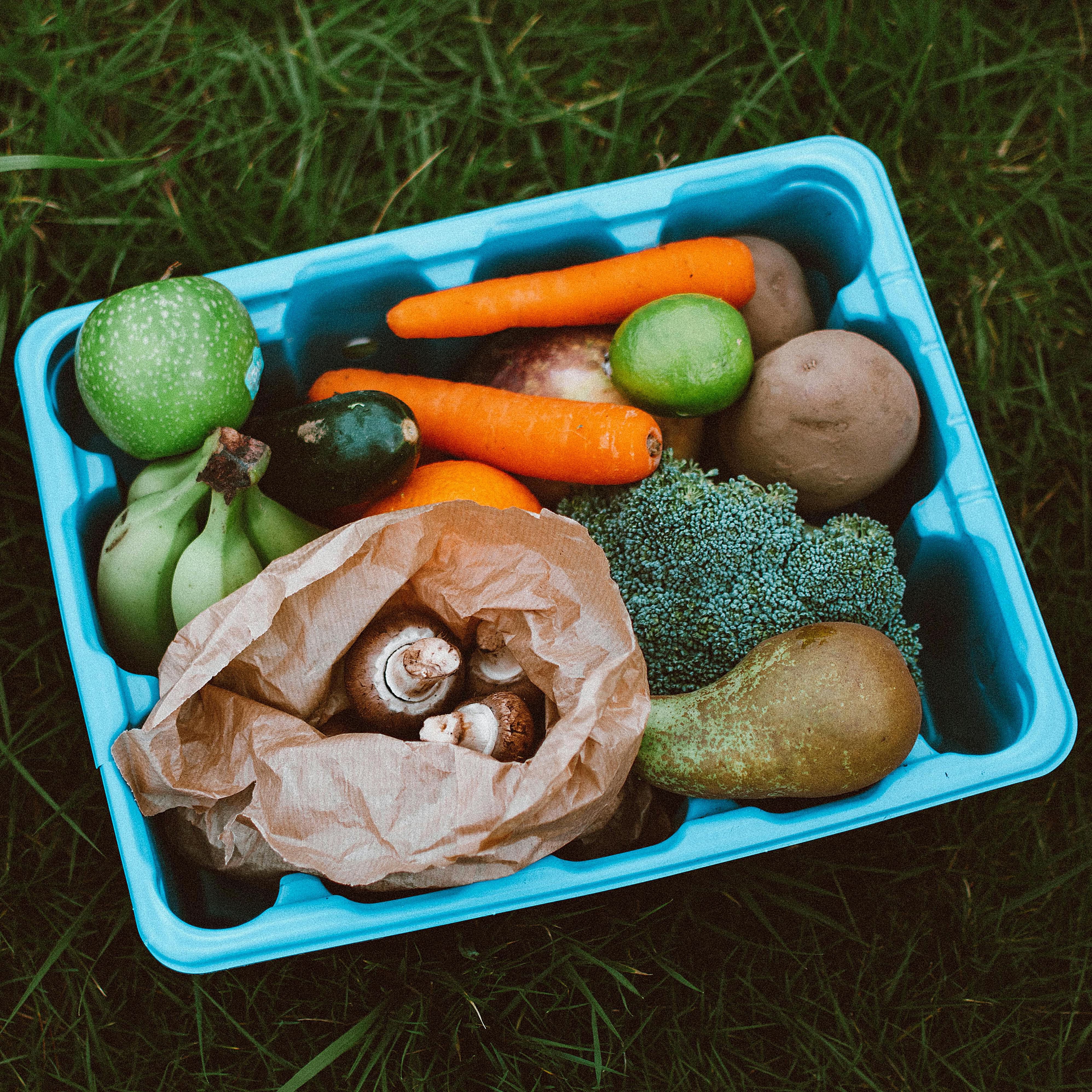 <b>HOW TO ADD MORE FIBRE TO YOUR DOG&rsquo;S DIET</b><br><br>If you&rsquo;re keen to boost the amount of fibre in your dog&rsquo;s food, here are some healthy tips and ideas&hellip;</br>